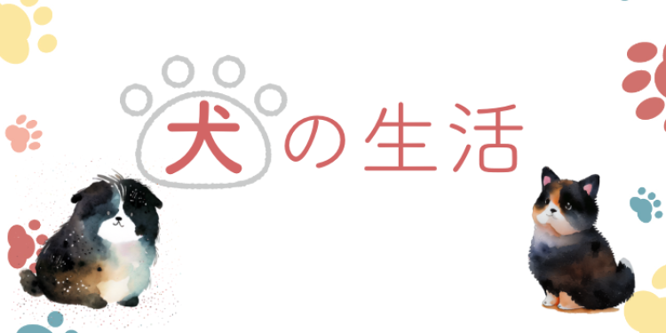 カワイイがいっぱい！ワンダーランド